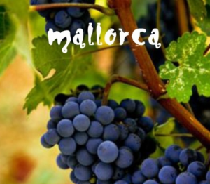 Wijntours op Mallorca